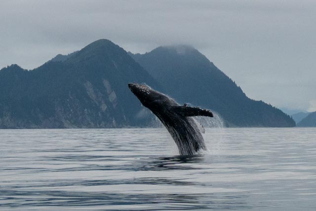 Alaska – Seward &&nbsp;Anchorage